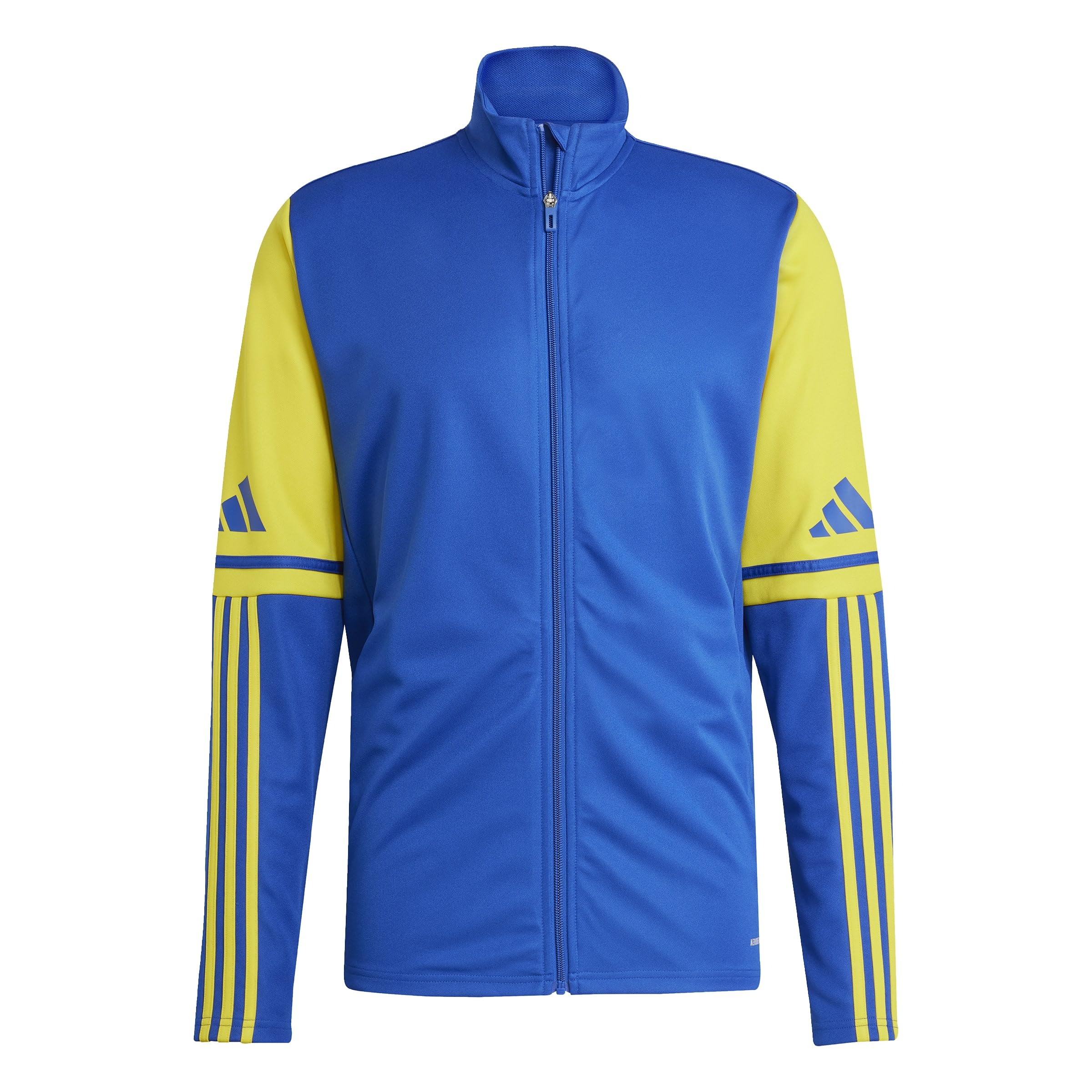 adidas Men's Squadra25 Training Sweatshirt, team royal blue/team yellow, XS