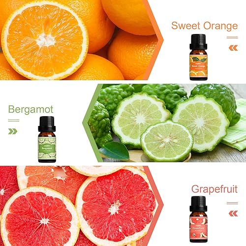 Miniatura 4 de SALUBRITO Fresh Fruit Essential Oils Set - Strawberry, Sweet Orange, Pineapple, Coconut, Bergamot, Grapefruit Fragrance Oils for Diffuser, Candle,
