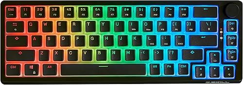 G.Skill Teclado mecánico KM250 RGB 65% (67 teclas), tecla de inyección dual PBT (negro)