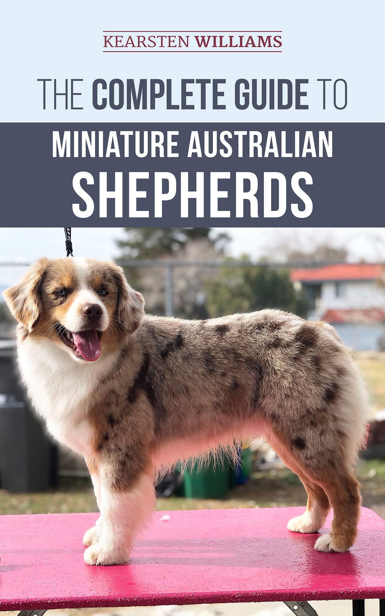 The Complete Guide to Miniature Australian Shepherds: Finding, Caring For, Training, Feeding, Socializing, and Loving Your New Mini Aussie Puppy