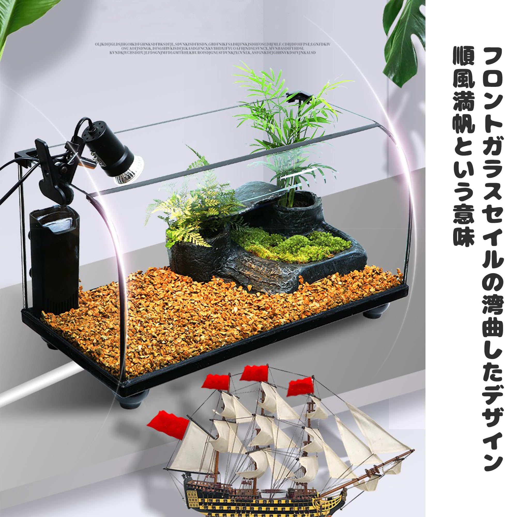 Amazon | 亀 水槽フロント曲面ガラス(水で満たすことができます