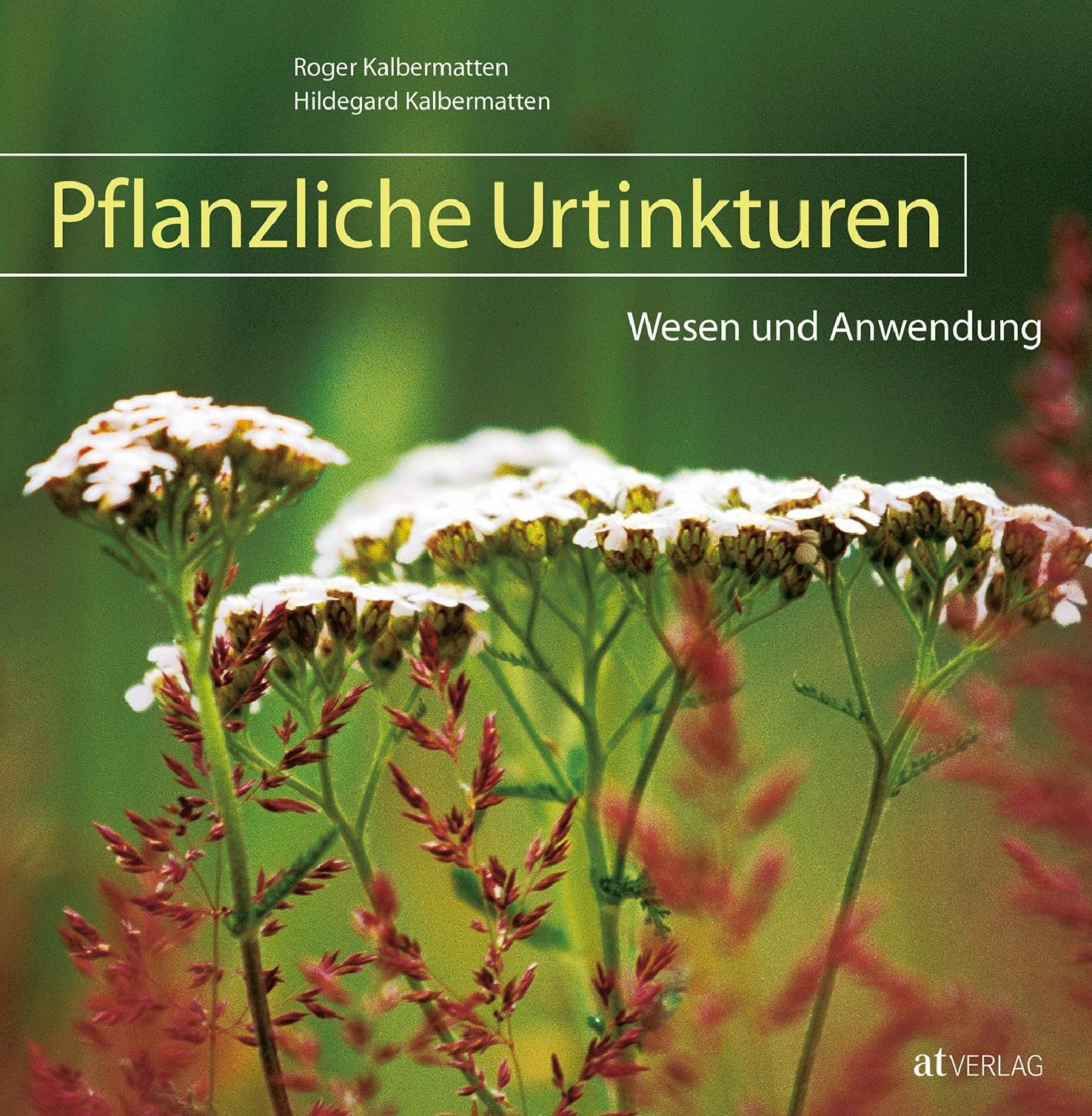Pflanzliche Urtinkturen – Wesen und Anwendung | Kompaktes Nachschlagewerk der Phytotherapie