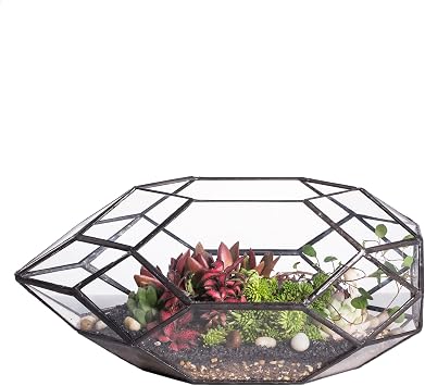 NCYP 6.5 x 5.9 x 11 Inches Geometric Glass Terrarium for Succulent, Air Plants - Large Irregular Clear Planter Pot, Indoor Tabletop Centerpiece, Wedding Garden Decor, Black No Plants