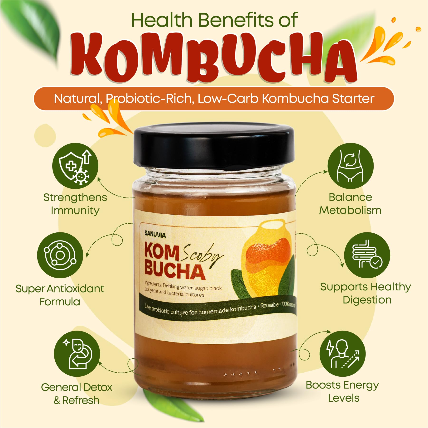 SANUVIA Kombucha SCOBY Starter Culture – Hongo de té con 300 ml de té iniciador en frasco de vidrio – Vegano, cultivo vivo, reutilizable