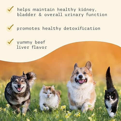 Miniatura 5 de Bark & Whiskers Soporte de vejiga, 3.17 oz (90 g), 90 cucharadas, apoya la salud del tracto urinario, con arándano y D-manosa, formulado por