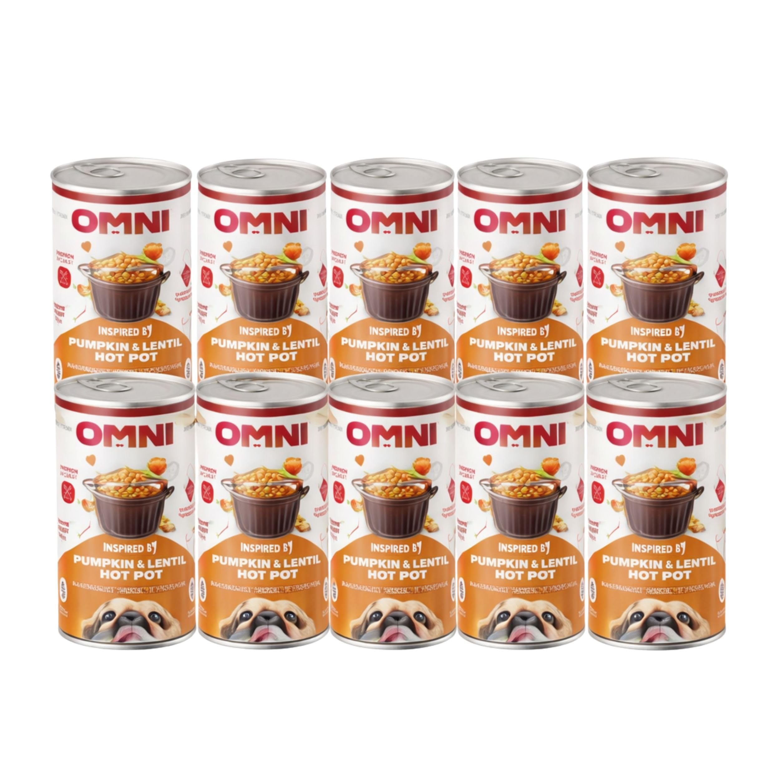 Omni Wet Dog Food for Adult Dogs - Pumpkin & Lentil Hot Pot Hypoallergenic Dog Food Vet-Formulated Rich in Protein with Parsnip, Broccoli and Sage - Gut Friendly, Soya and Gluten Free, Pack of 12