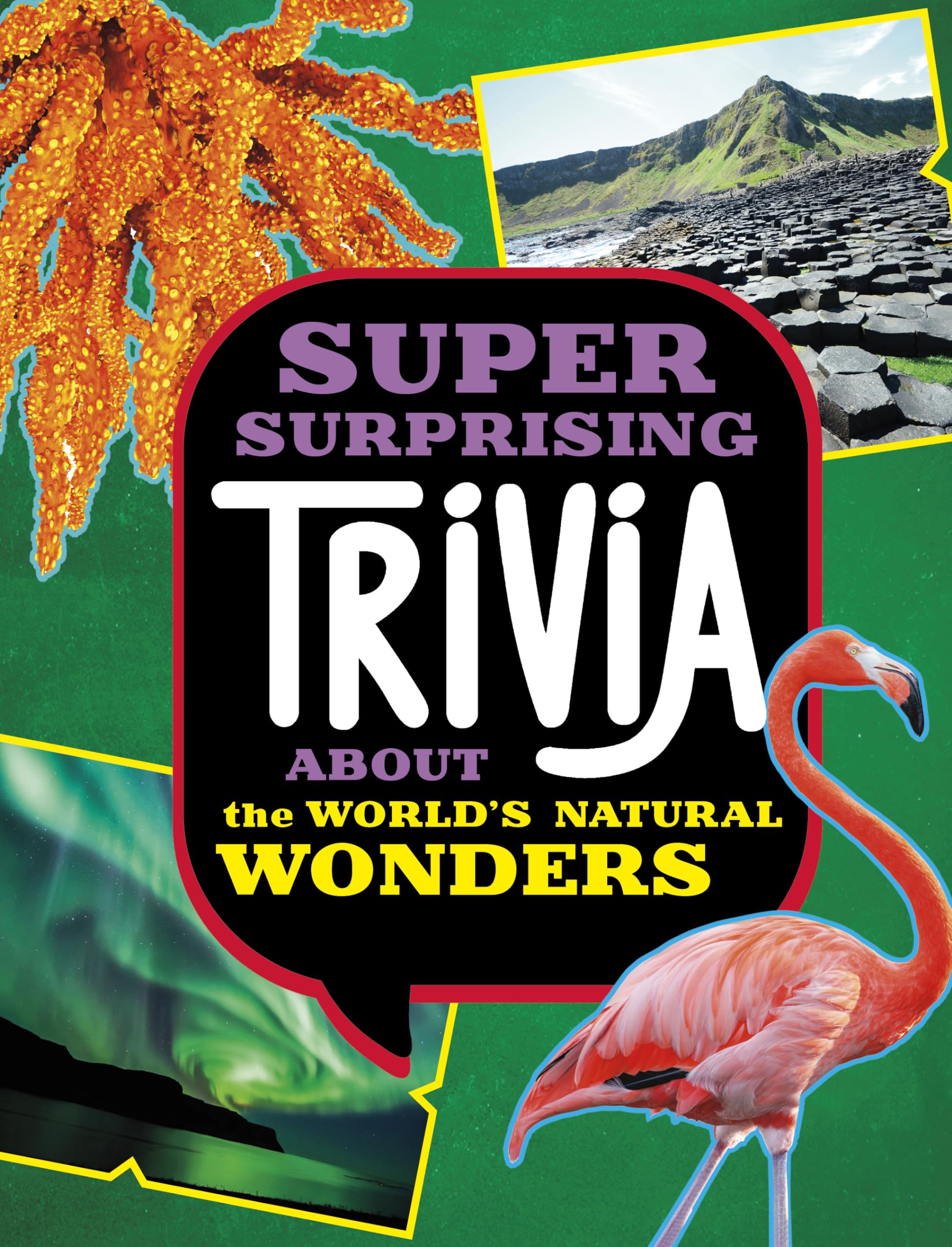 Super Surprising Trivia About the World's Natural Wonders by ... - 9781398254398