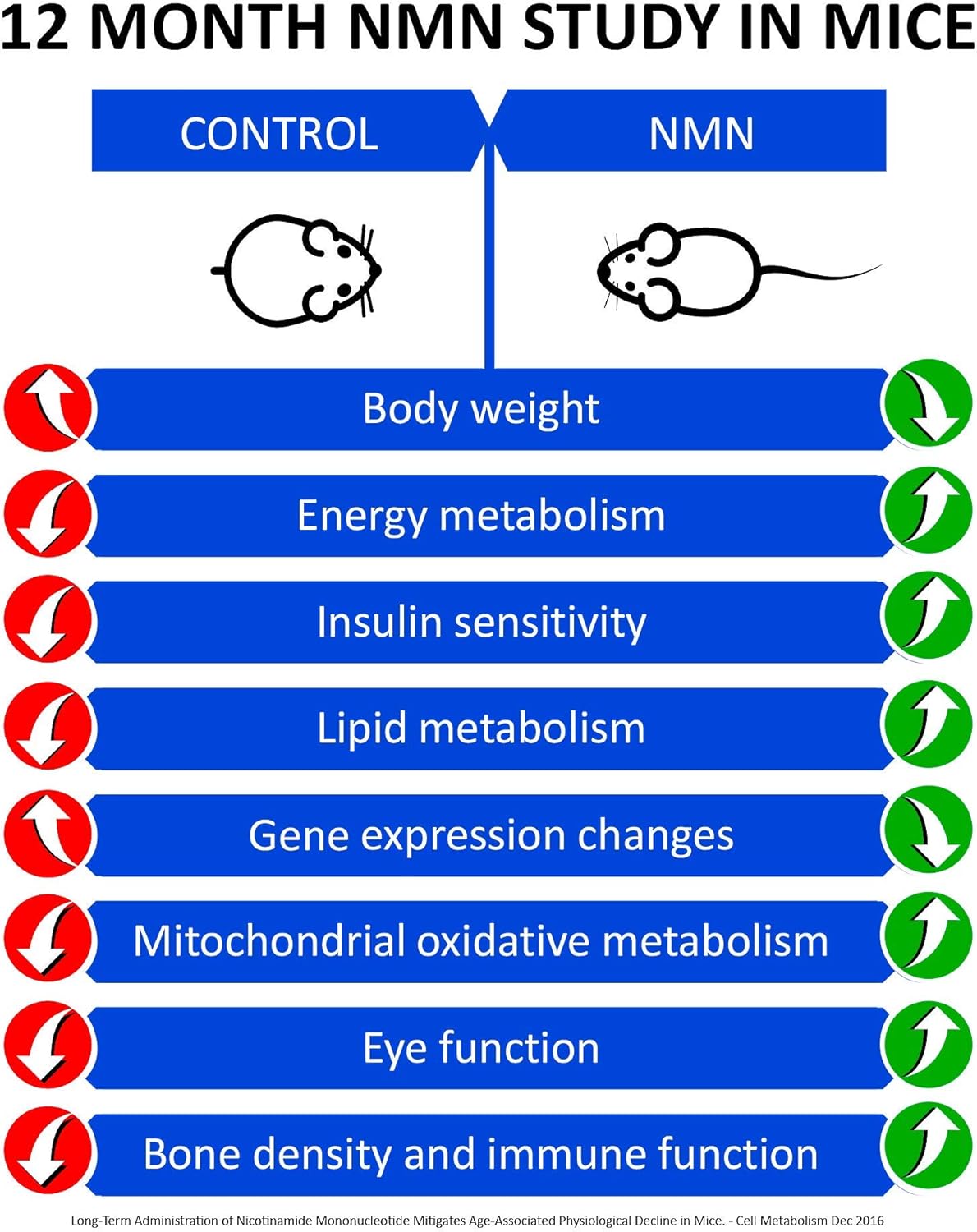 MAAC10 NMN Supplement 1000mg Serving - 99% Pure NMN Nicotinamide Mononucleotide. The Most Powerful NAD Supplement for Optimal Performance (120 Capsules 4 Per Serving). - Image 3