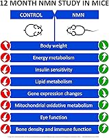 Vista 2 de MAAC10 NMN Supplement 250mg Capsules - Genuine NMN Nicotinamide Mononucleotide NAD+ Supplement, Stabilized Form, Pairs Well with Trans-Resveratrol