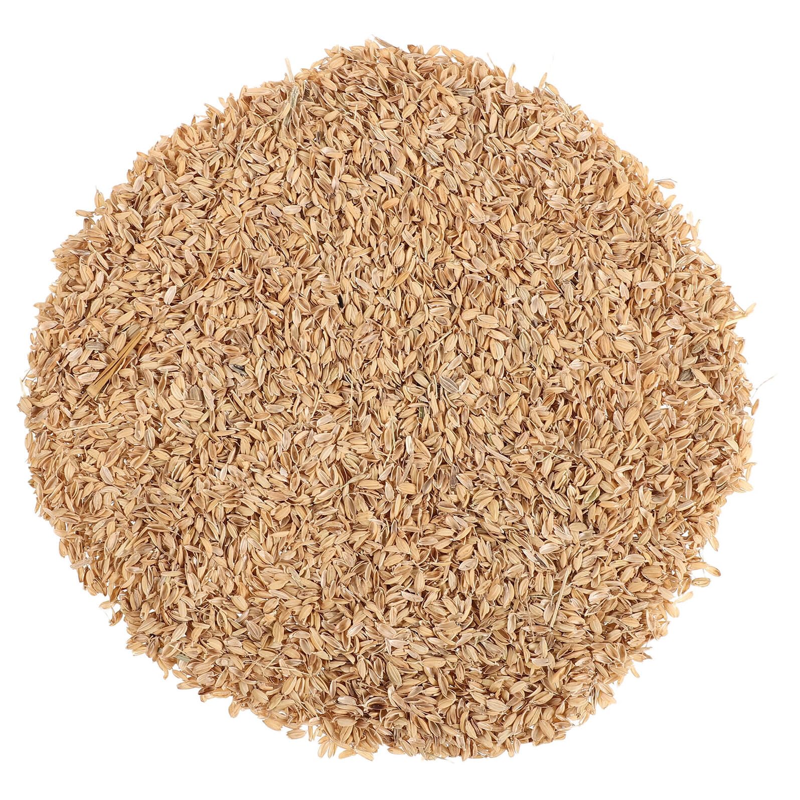 Alasum Natürliche Reishülsen als Hühnerstreu 1 Satz 1, 5kg aus Reishülse | Nistmaterial für Stall und Nistkästen, für Gartenmulch, für Hamster und Kleine Tiere