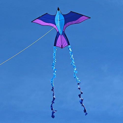 Cometa de loro tropical (zafiro)