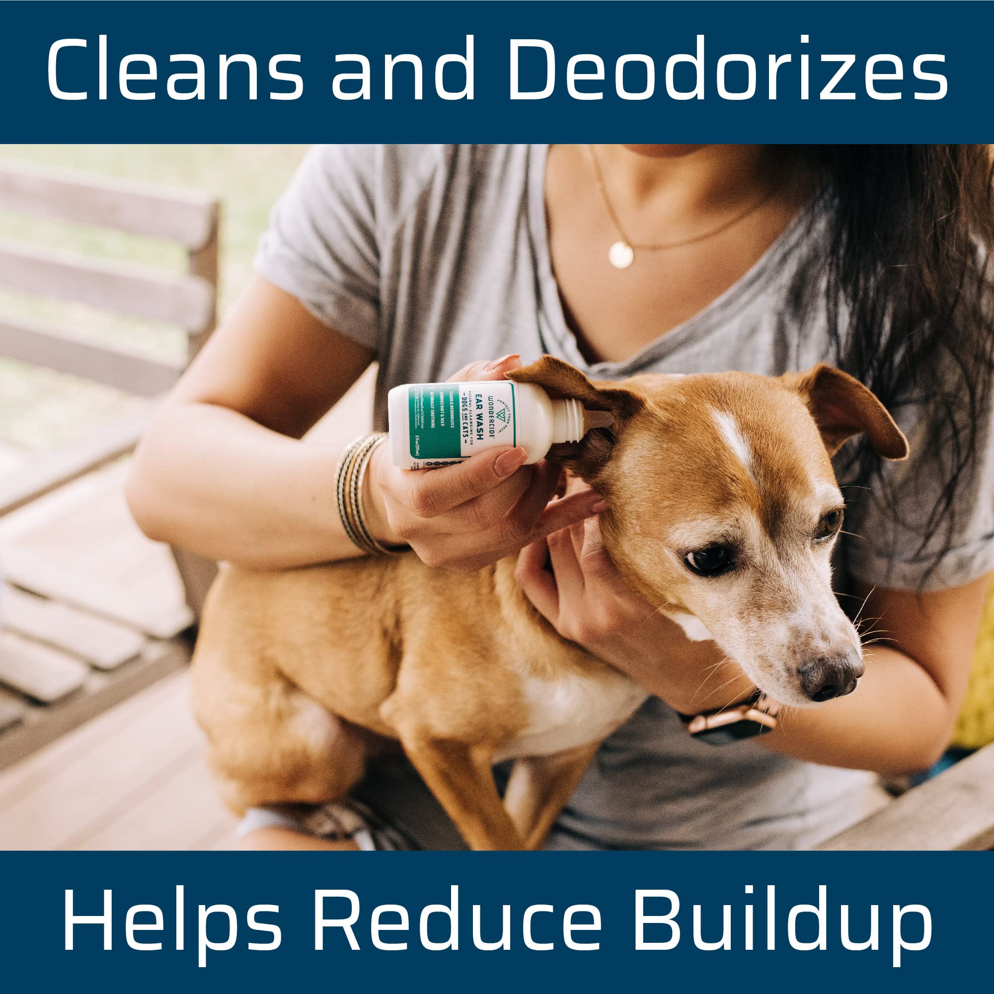 How Do You Deodorize A Dog Collar