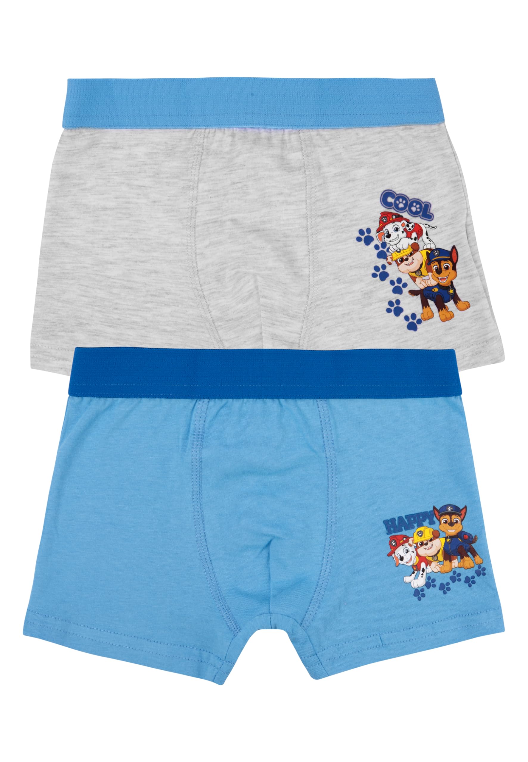 Paw Patrol boxer shorts for boys - kids underwear boxer pants grey/blue (pack of 2) (DE/NL/SE/PL, numeric, 110, 116, regular, grey/blue)