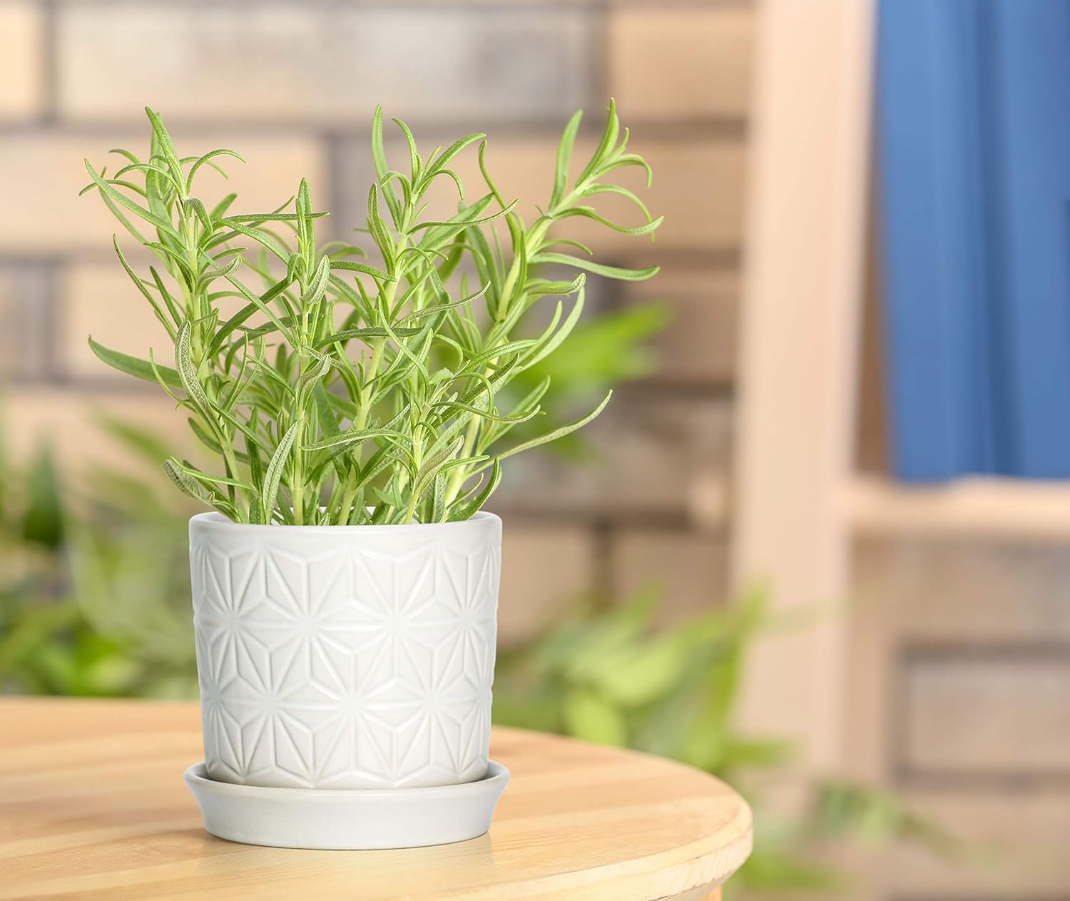 D'vine Dev Ceramic Flower Plants Pots Planter, 3.8 Inch 5.8 Inch Stoneware Planter Pot with Drainage Hole and Saucer, Set of 2, White, 99-E-1 - Image 2