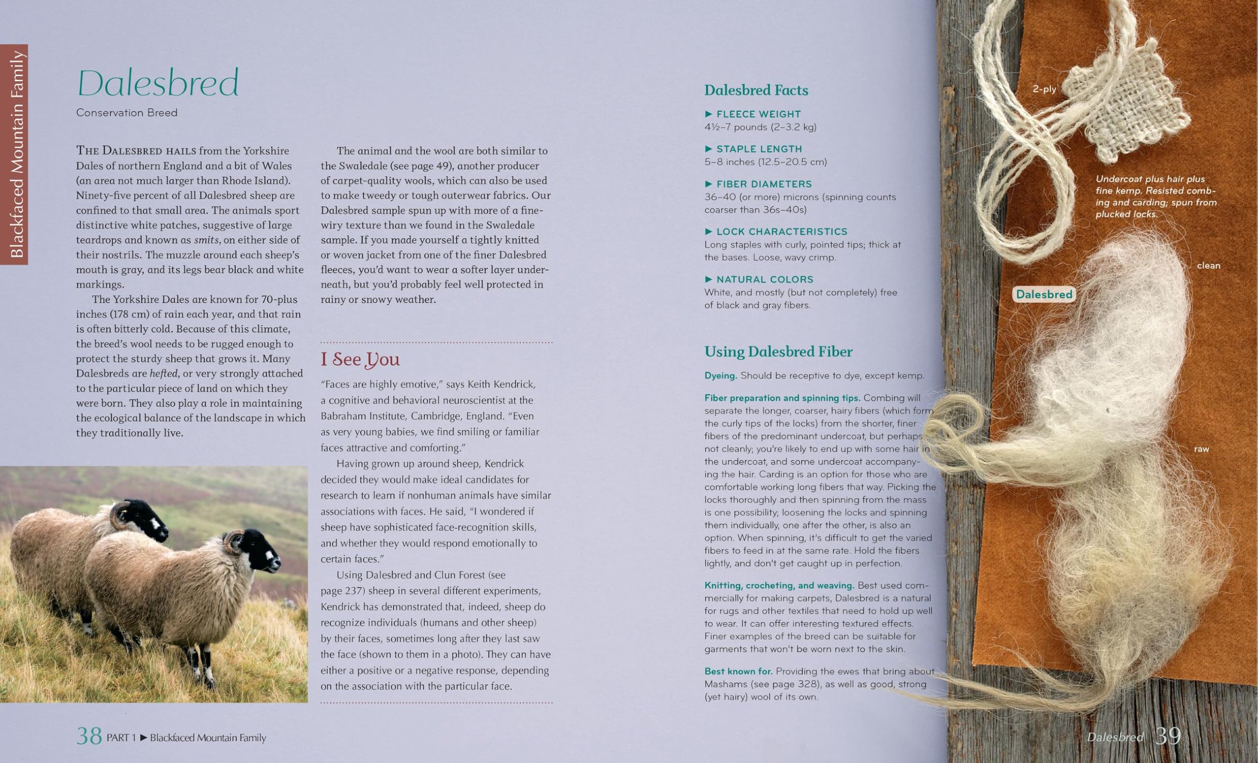 The Fleece & Fiber Sourcebook: More Than 200 Fibers from Animal to Spun Yarn.