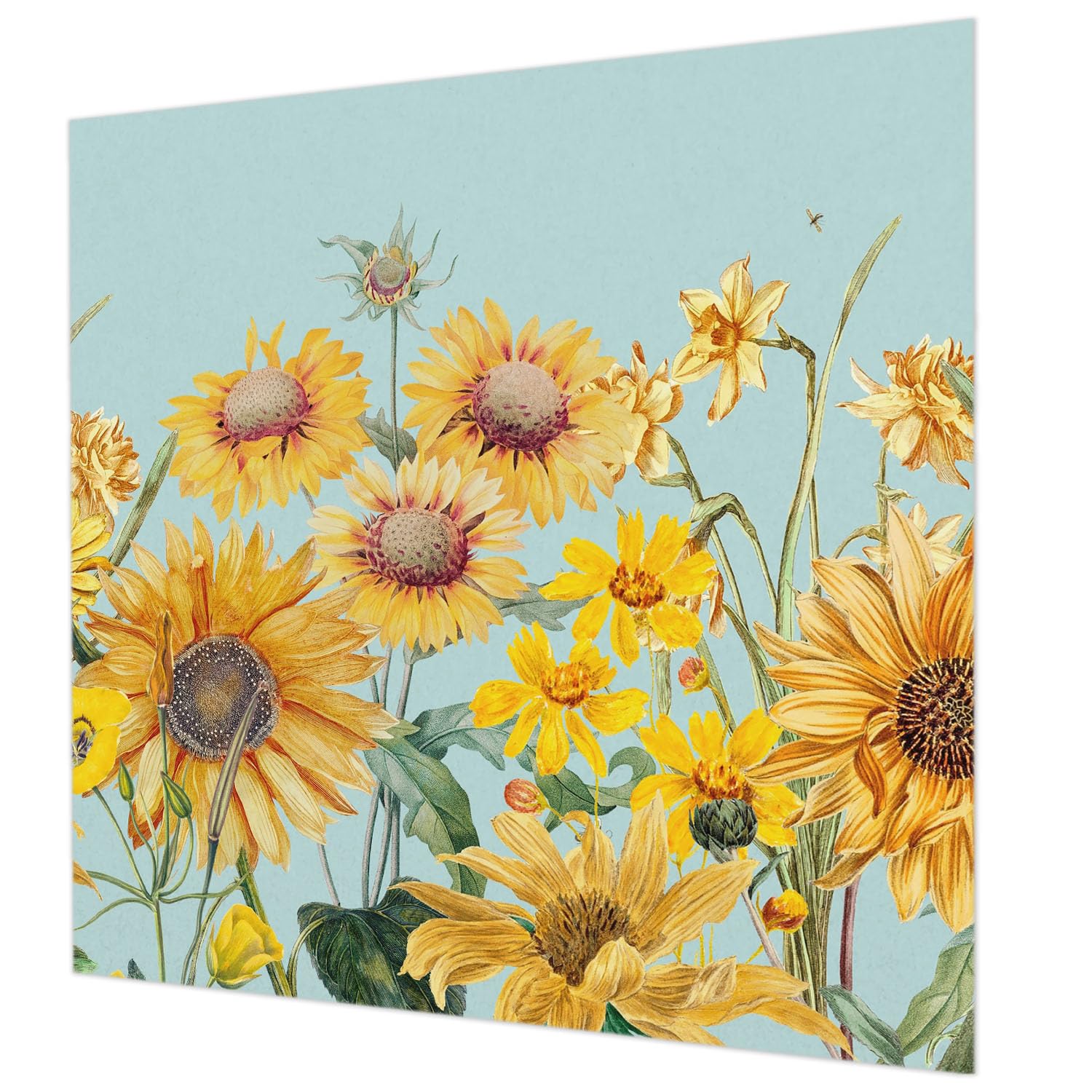 Tapisserie intissée lavable 250x250 cm avec colle incluse