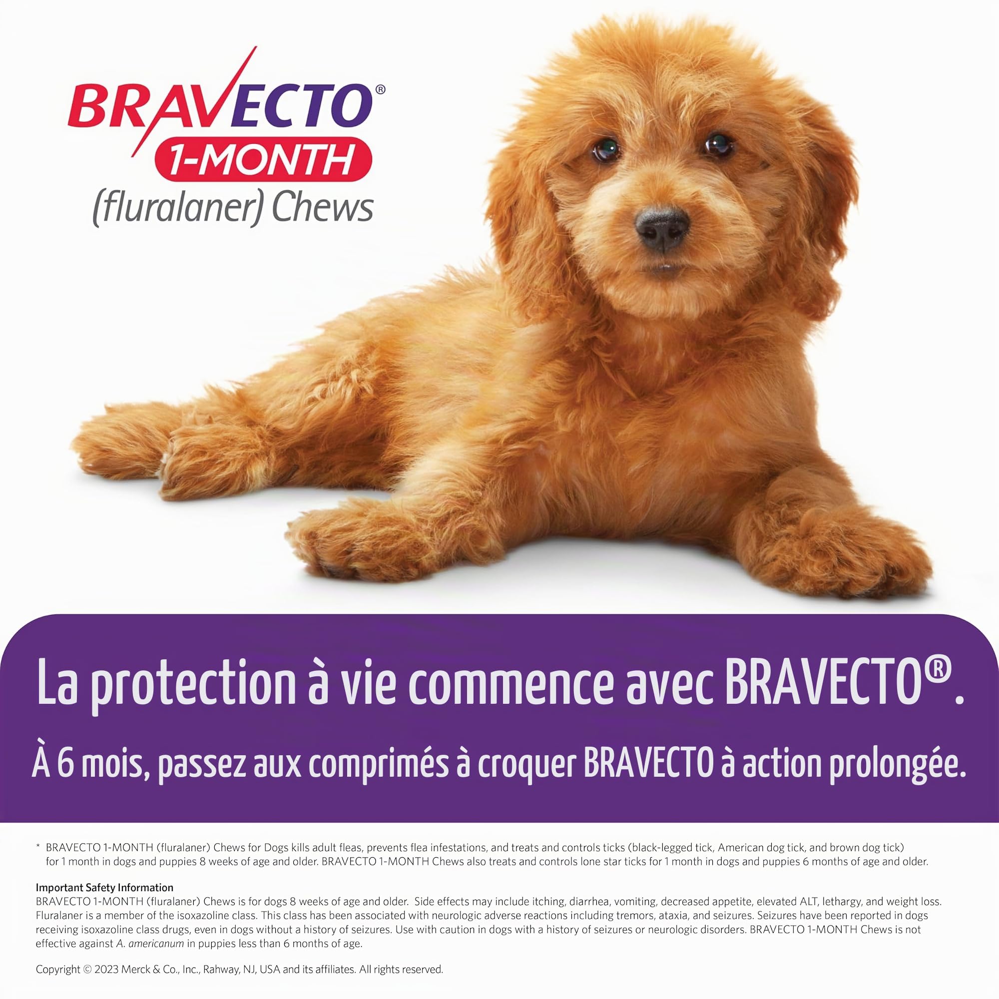 BRAVECTO Approvisionnement d’un mois de comprimés à croquer contre les puces et les tiques pour chiots, 1 comprimé, approvisionnement d’un mois, >4,5-10 kg, boîte orange