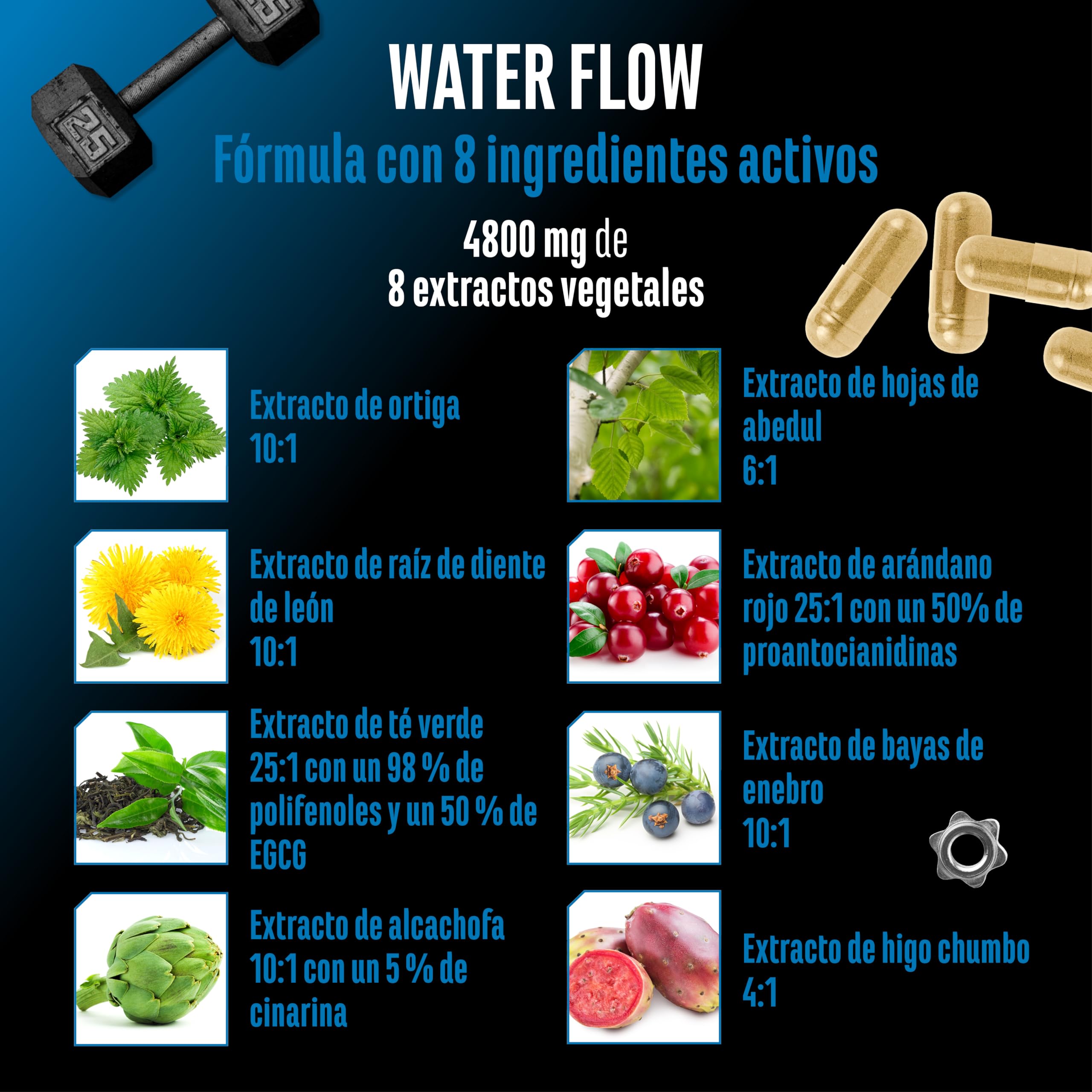 Water Flow Complejo - 180 cápsulas - Con ortiga, diente de león, té verde, alcachofa y arándano rojo - Fórmula vegetal sin pastillas diuréticas químicas - Vegano, de alta dosis