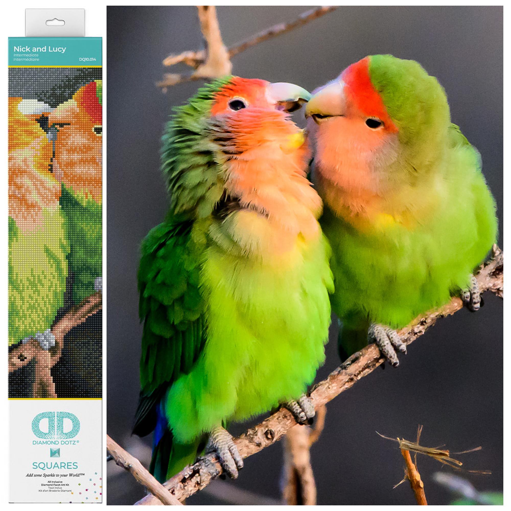 Diamond Dotz Kit Intermedio DQ10, Uccelli Dell'amore Con Faccia Di Pesca, 41 X 41 Cm-image