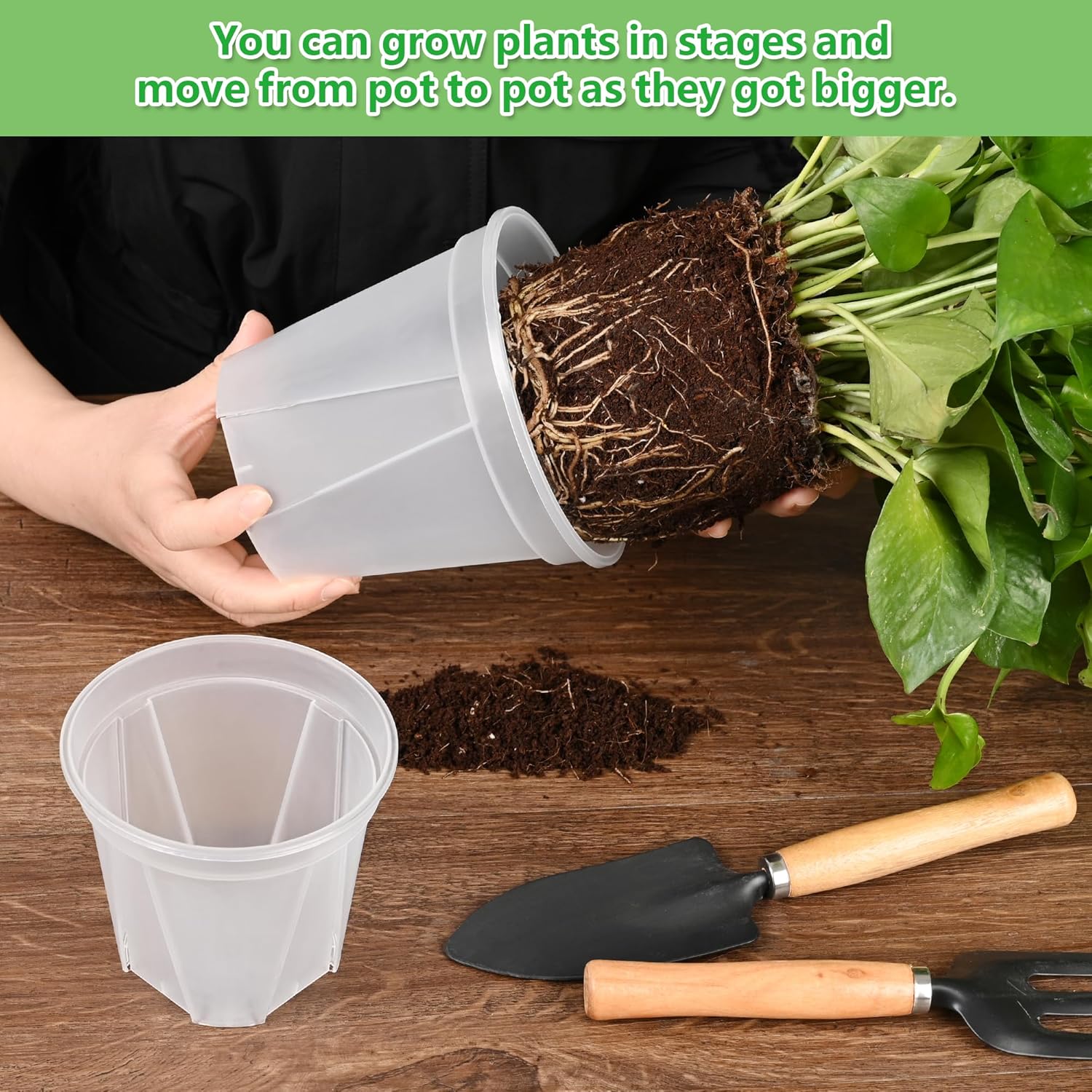 5 Sets 8 Inch Transparent Plastic Garden Pots Planter with Saucer Plant Planter Drainage Hole Plastic Pots for Plants Indoor and Out Door House Plants with 10pcs Plant Labels