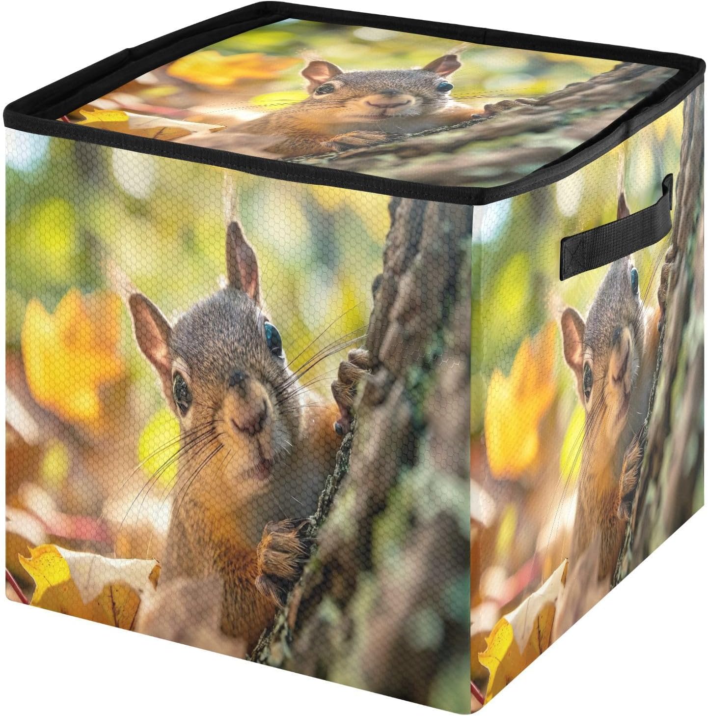 Squirrel Peeking Pattern 13 Inch Christmas Ornament Storage Box with Lid - Holiday Decor Storage Containers, Stores 64 Ornaments, 3 Inch Cube Compartments