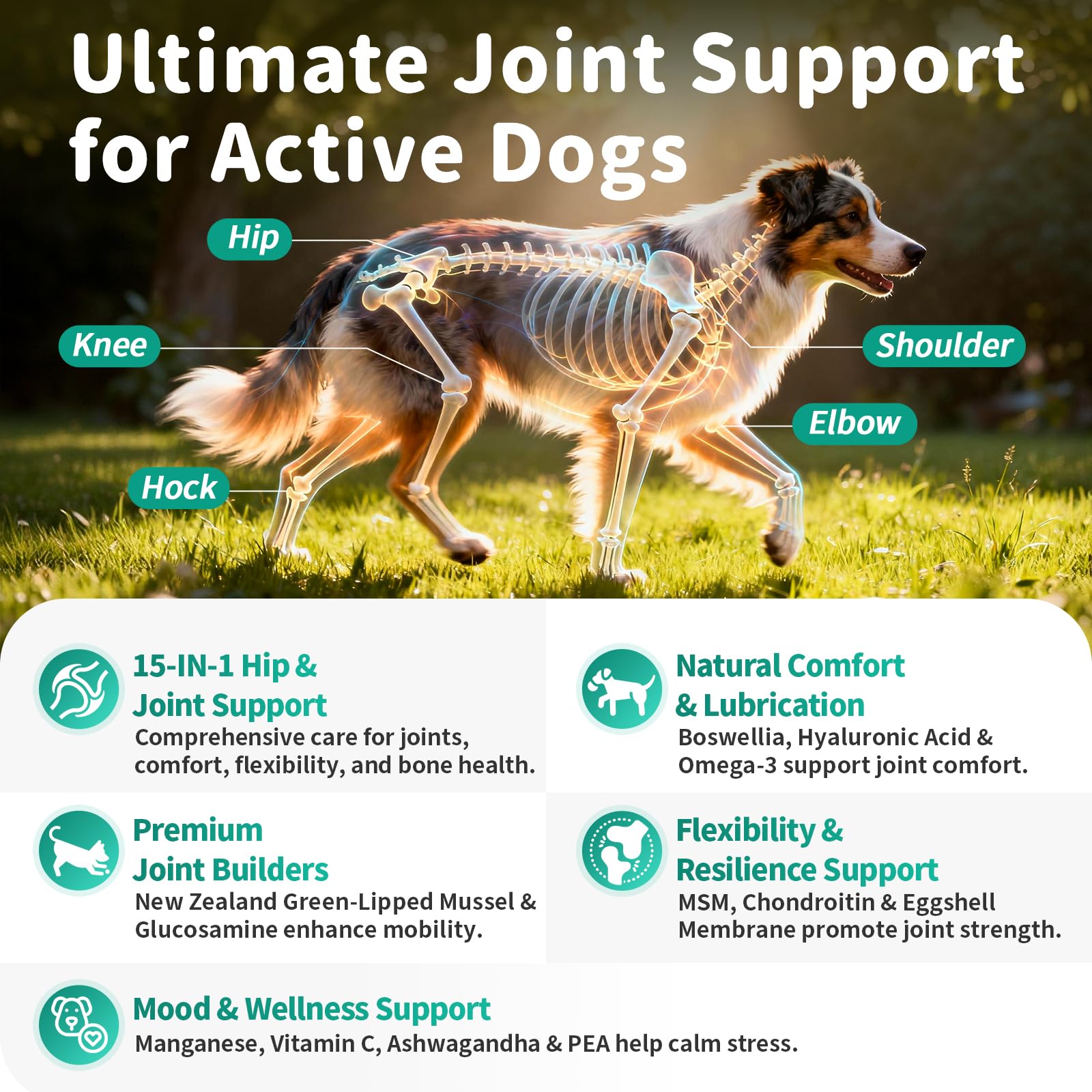 Advanced Dog Joint Supplement – 15-in-1 Glucosamine for Dogs with Chondroitin, MSM & Green Lipped Mussel – Hip & Joint Pain Relief Mobility Chews, Beef Flavor, 90Ct Breeds - image 2