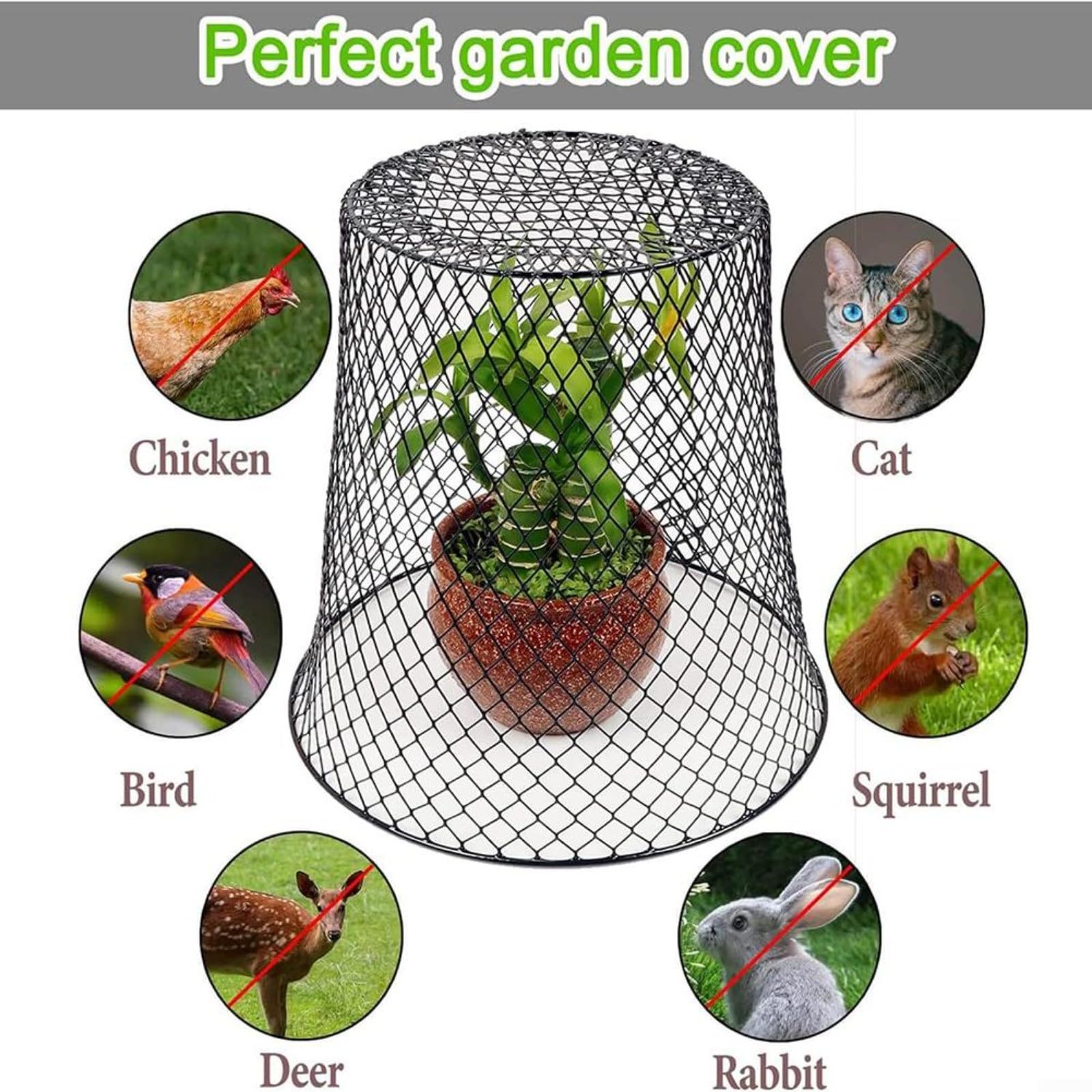 Lot de 5 cloches de jardin en métal avec piquets en forme de U pour protection des animaux, cages en maille résistante à la rouille, myrtilles, légumes, fleurs, 23 x 23 cm (noir)