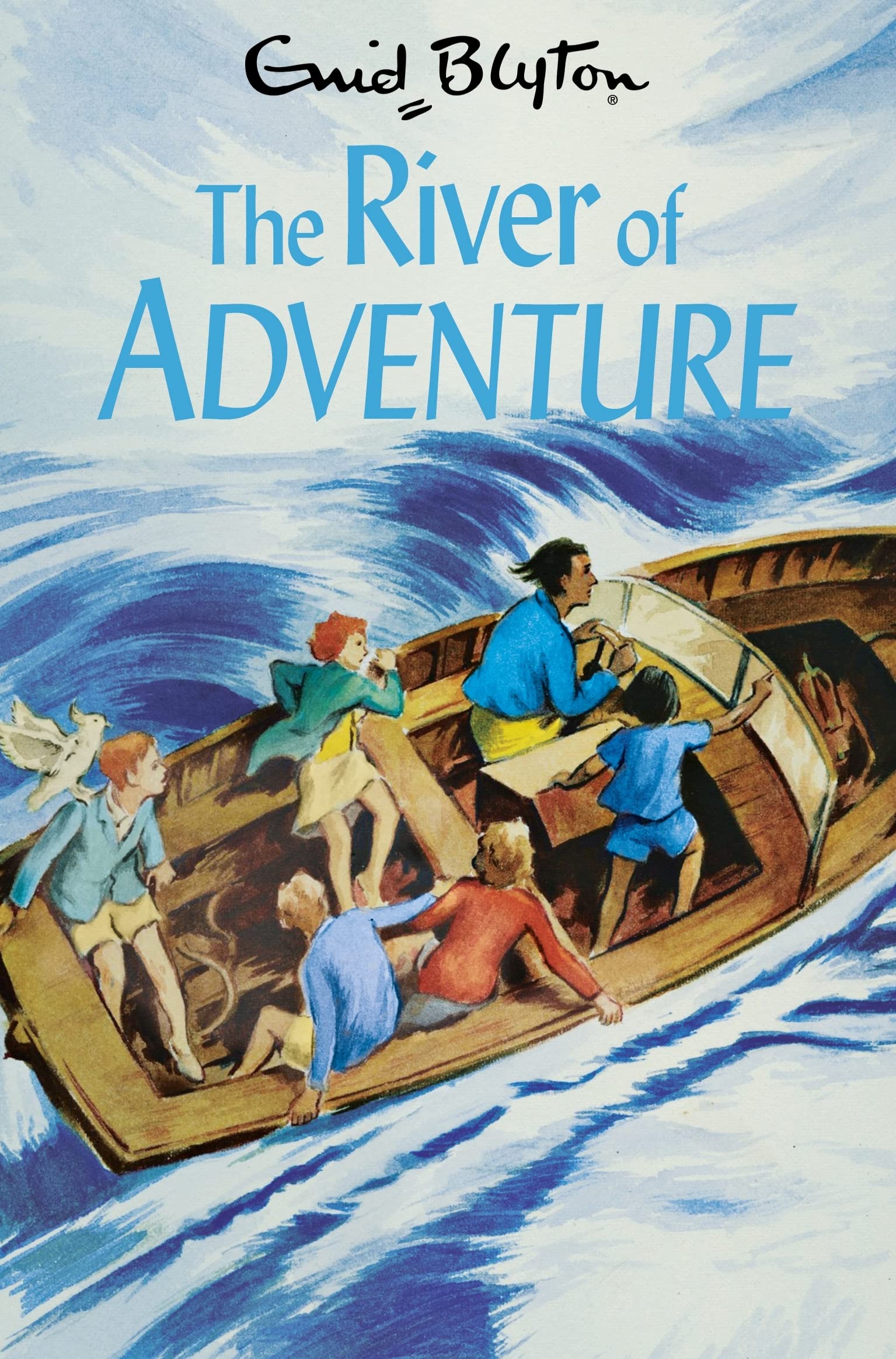 The River of Adventure by Enid Blyton PAPERBACK 9781529008890