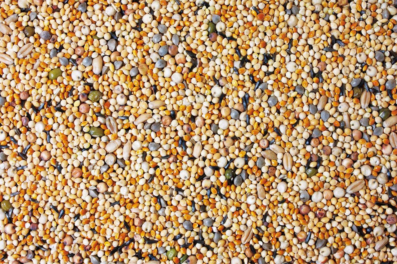 Image secondaire de JR FARM Birds Nourriture germée pour perruches 1 kg