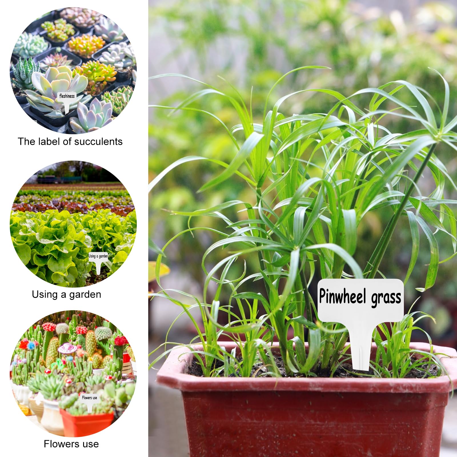 12 Etiquetas De Jardín De Madera Negras | Resistente A La Intemperie | Para Identificar Hierbas, Verduras Y Plantas | Tamaño 7.5x5 Cm