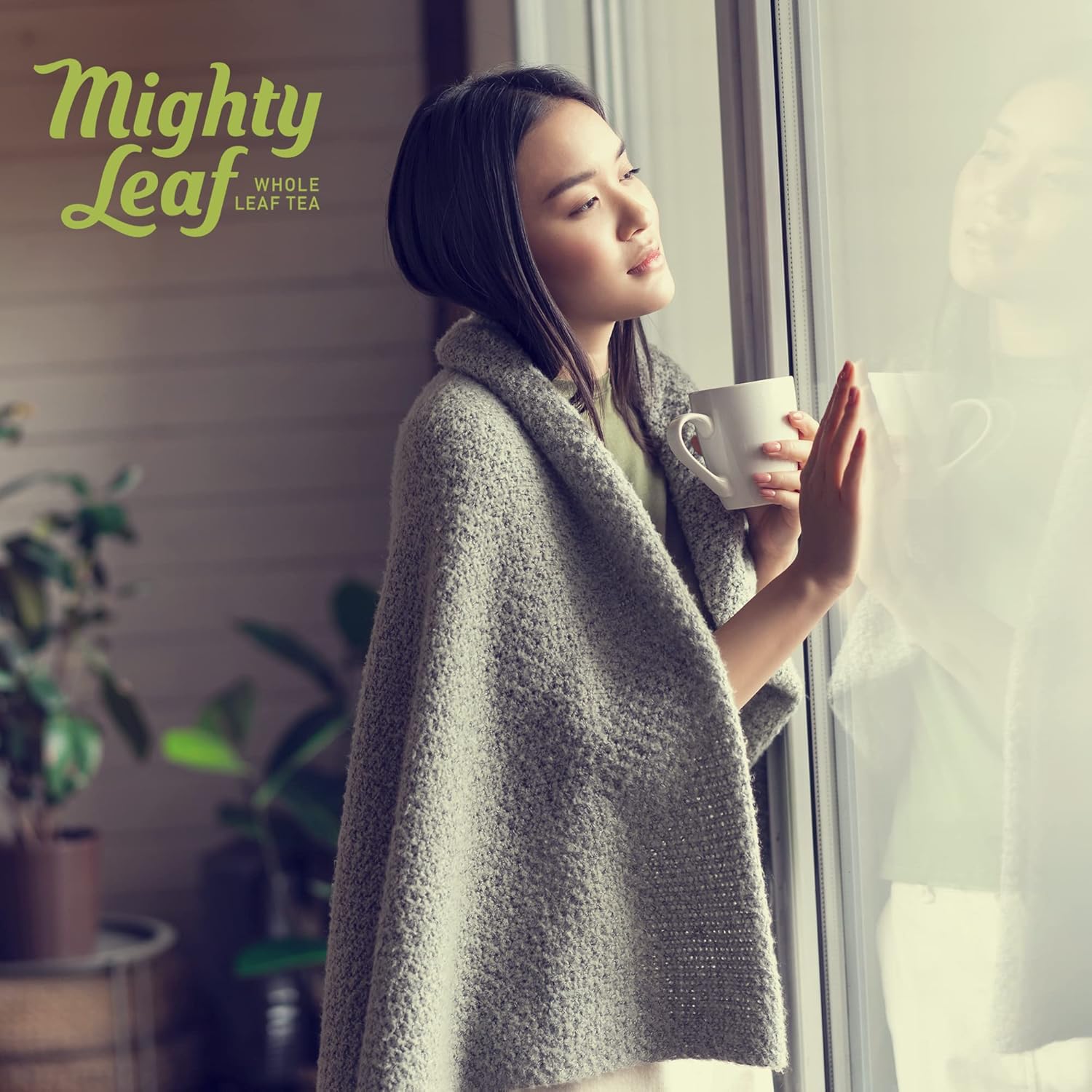 Mighty Leaf Organic Spring Jasmine Green Tea