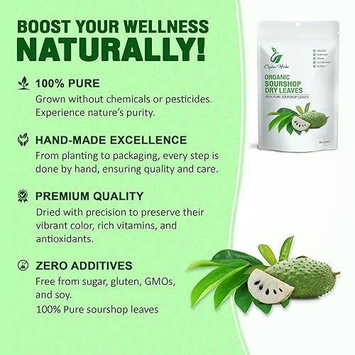 Miniatura 6 de 200 hojas naturales de guanábana, seleccionadas a mano, bien limpias, 100% puras y frescas para el té