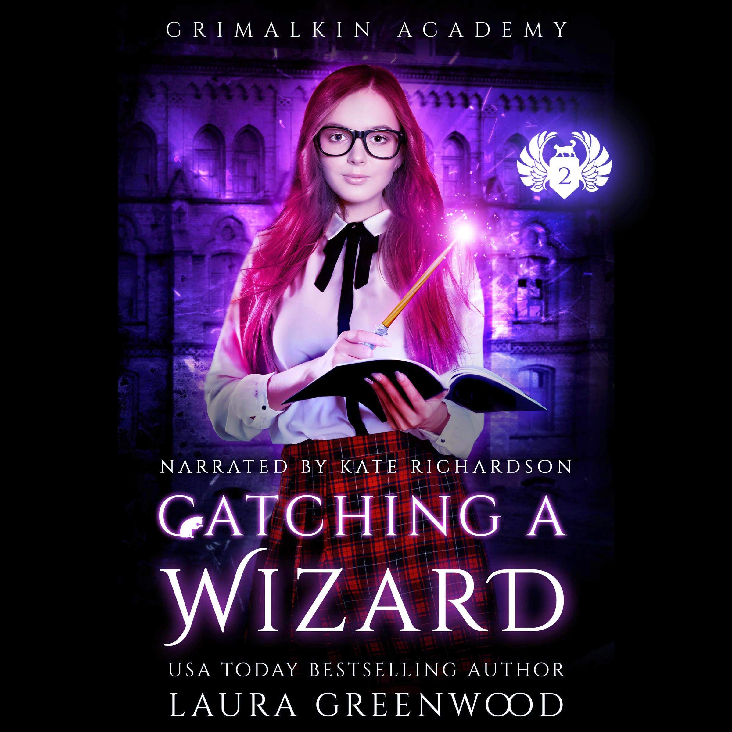 Cover art for Catching a Wizard
