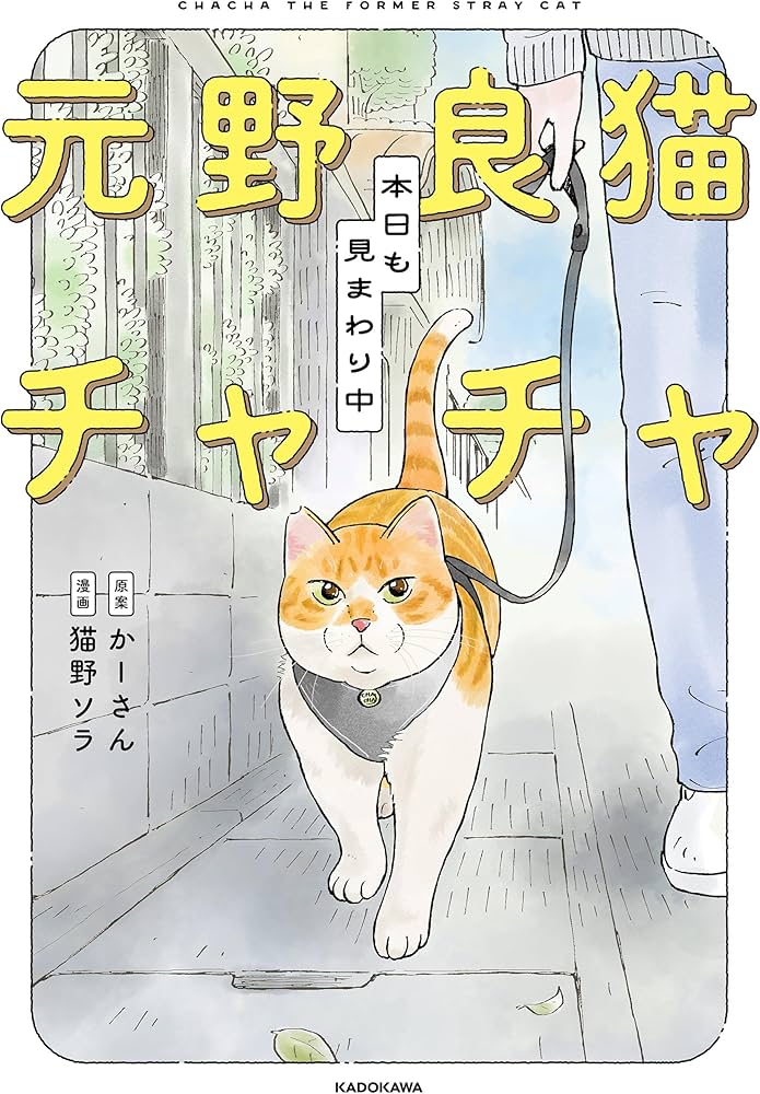 Amazon.co.jp: 元野良猫チャチャ 本日も見まわり中 : かーさん, 猫野