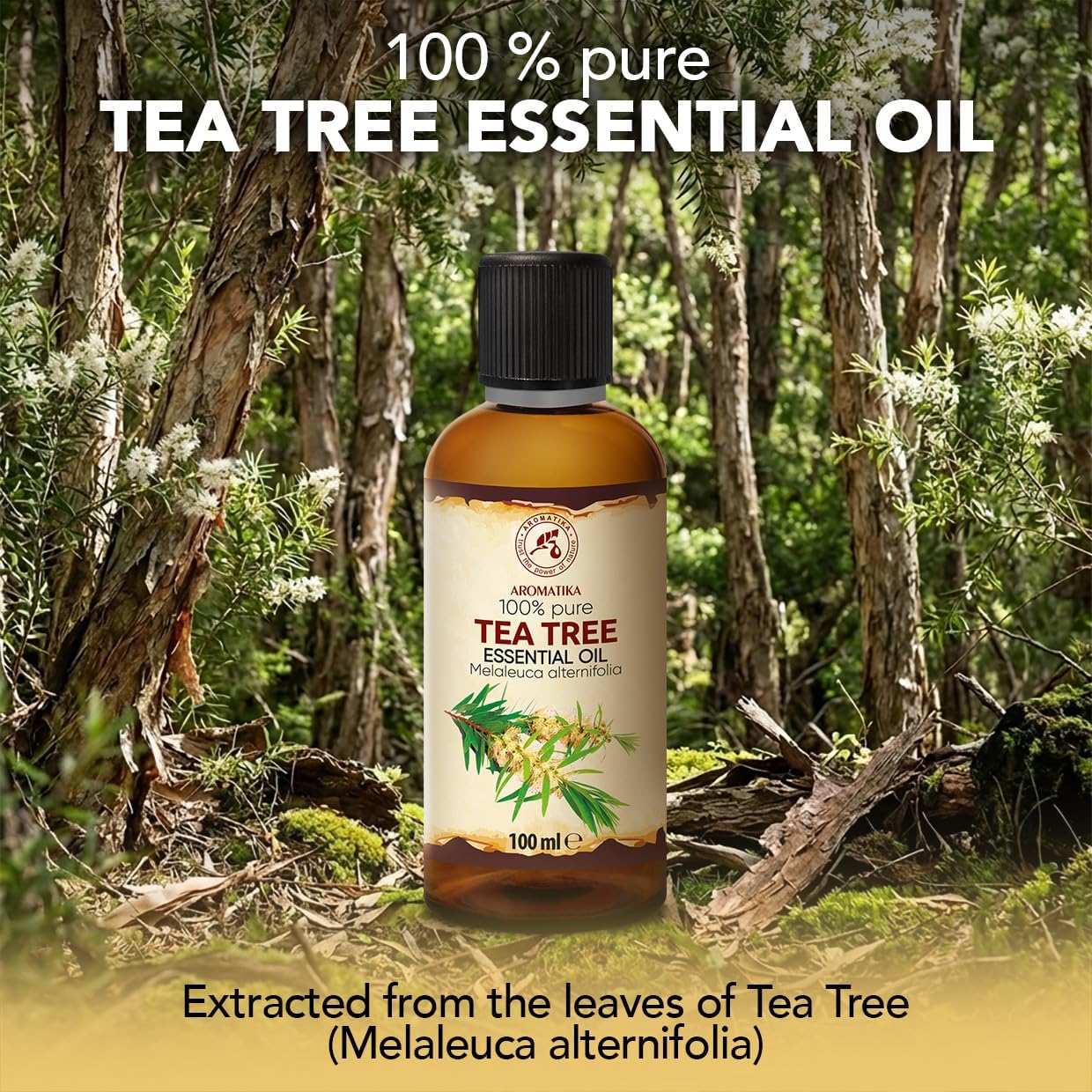 Tea Tree Essential Oil 6.8 Fl Oz - 2x100ml - Melaleuca Alternifolia Leaf Oil - Australia - 100% Pure - Good for Beauty Purposes - Aromatherapy - Relaxation - Massage - Essential Oils Tea Tree
