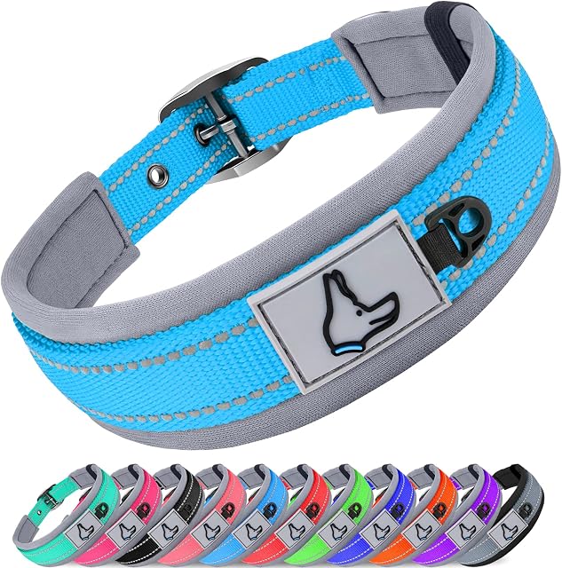 Joytale Reflective Dog Collar, Ultra Comfy Soft Neoprene Padded, Adjustable Heavy Duty Nylon Pet Collars with Metal Belt Buckle for Medium Dogs, Sky Blue