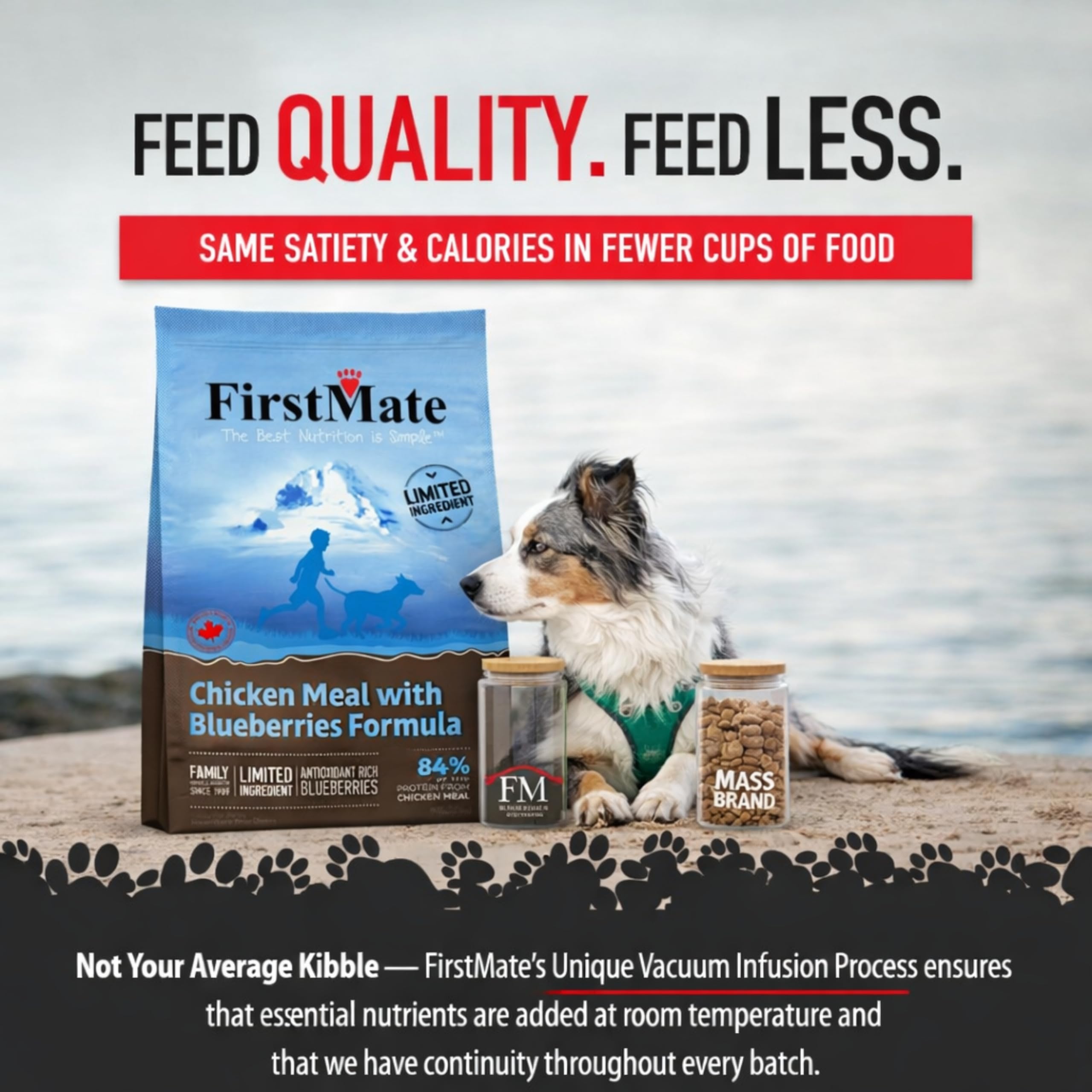 Amazon.co.jp: ボンビアルコン FirstMate ファーストメイト FM ドッグ