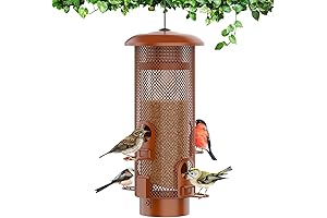 Metal Squirrel Proof Bird Feeder: Shield Birdies, Not Squirrels