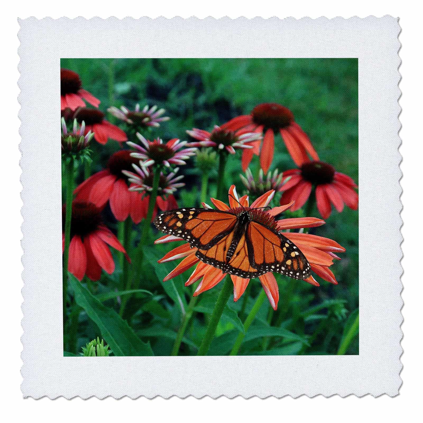 10x10 inch Quilt Square - Photograph of a Male Monarch Butterfly on an Orange coneflower. Stamp City - Insects and Flowers