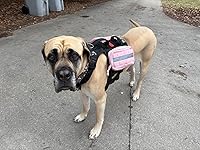 Review Image by Jesscia Jesscia