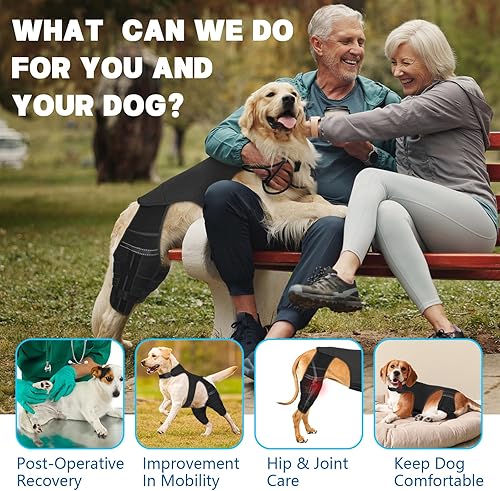 Miniatura 6 de Rodillera ajustable para pierna de perro para pierna trasera, rodillera de perro para pierna trasera desgarrada con 4 estabilizadores, soporte de