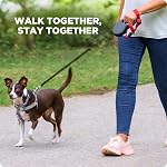 Training Safety System for Small Dogs | Puppy & Rescue Dog Training Tether | Anti-Drop Leash Backup | Hands-Free Wrist Control for Pulling, Lunging & Reactive Dogs (Leash NOT Included)