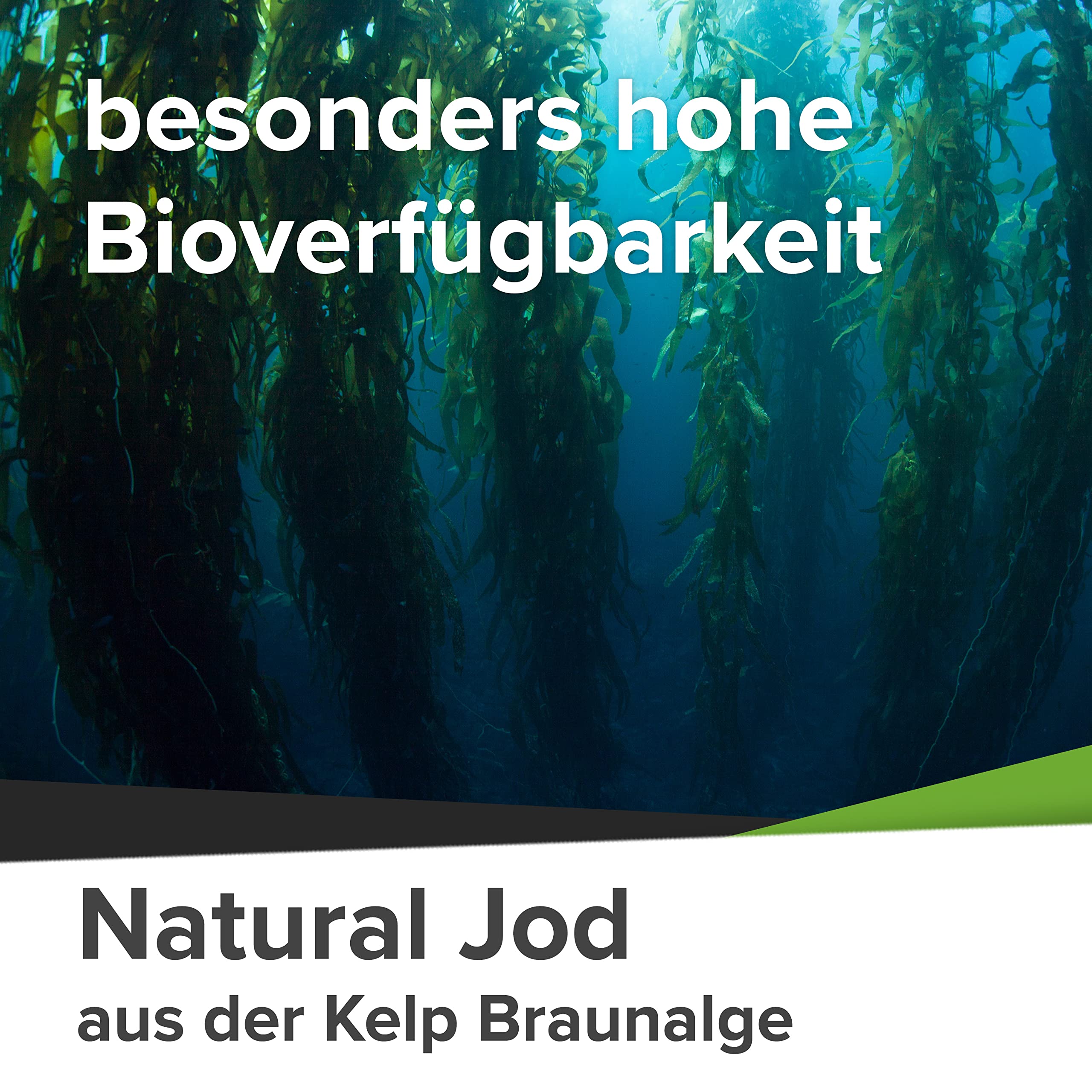 Natürliches Jod hochdosiert aus Kelp Extrakt in Kapseln | aus der Braunalge | 180 Jod Tabletten hochdosiert für 6 Monate Vorrat | salzfrei, laborgeprüft & vegan | Made in Germany
