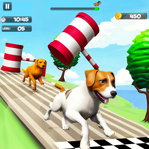 Dog Run - Dog Games