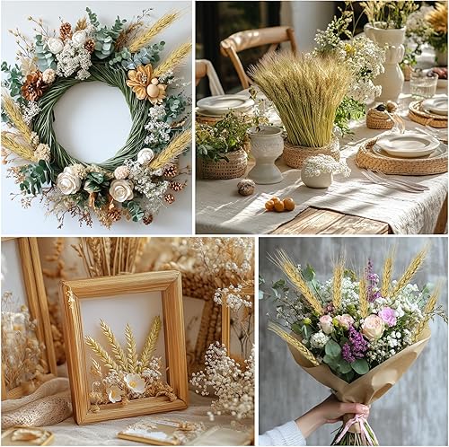 Miniatura 10 de Sukh Tallos de trigo seco rosa para decoración, 50 tallos de trigo rosa, ideales para el hogar, mesa de boda, centros de mesa de fiesta, decoración