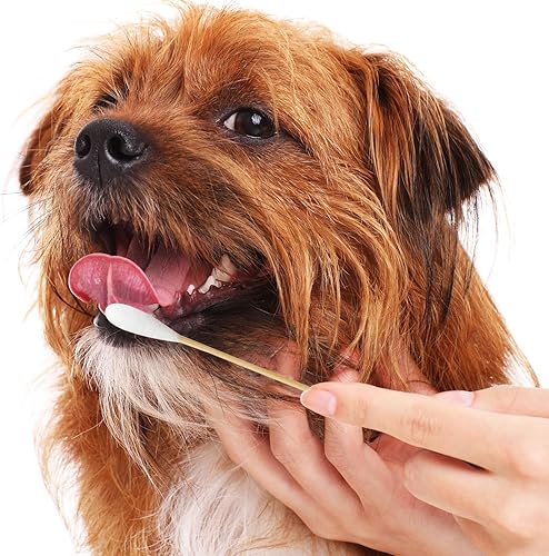 Miniatura 5 de Egaageoi Hisopos de orejas de 6 pulgadas para perros, 200 hisopos de algodón grandes para orejas de perro, limpieza suave, puntas extra absorbentes,