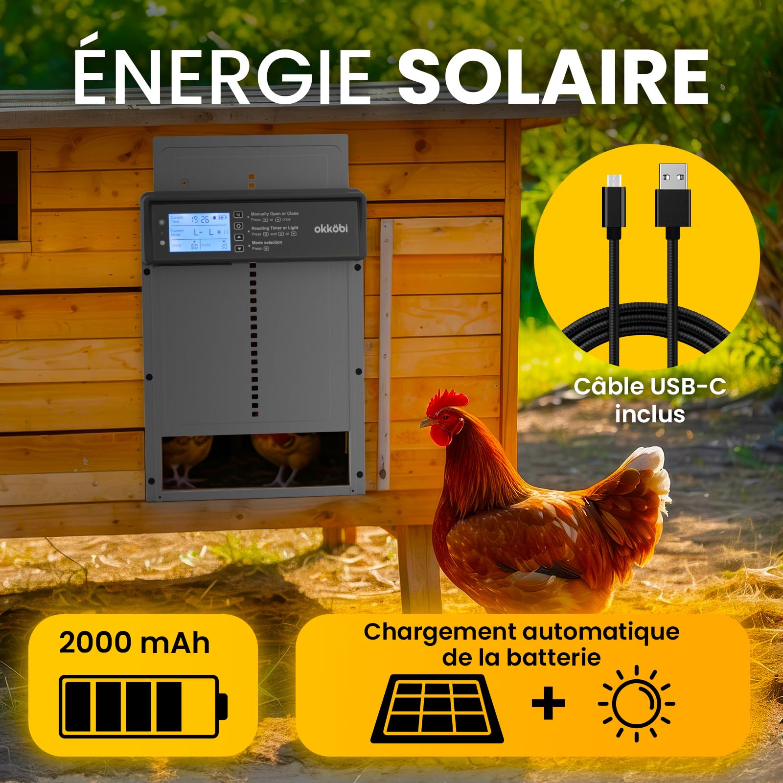 Okkobi Porte Automatique Poulailler Solaire - Ecran LCD - Télécommande, capteur de lumière et minuterie - Sécurité et tranquillité d'esprit : Fonction Anti-pincement - Protection 5 Ans