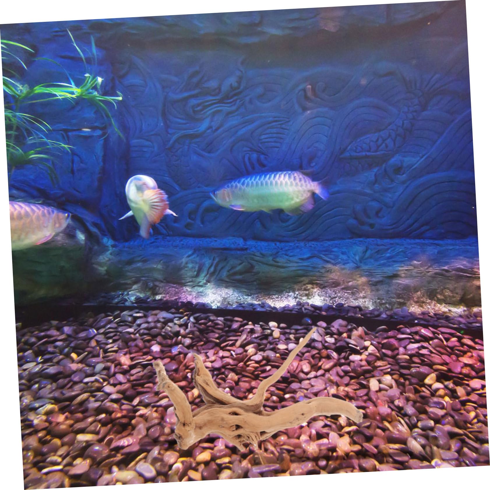 Luxshiny 3 Piezas Madera Flotante para Acuario Forma Realista, Fácil de Usar, Adorno Natural para Tanque de Reptiles y Mesa Varios Estilos