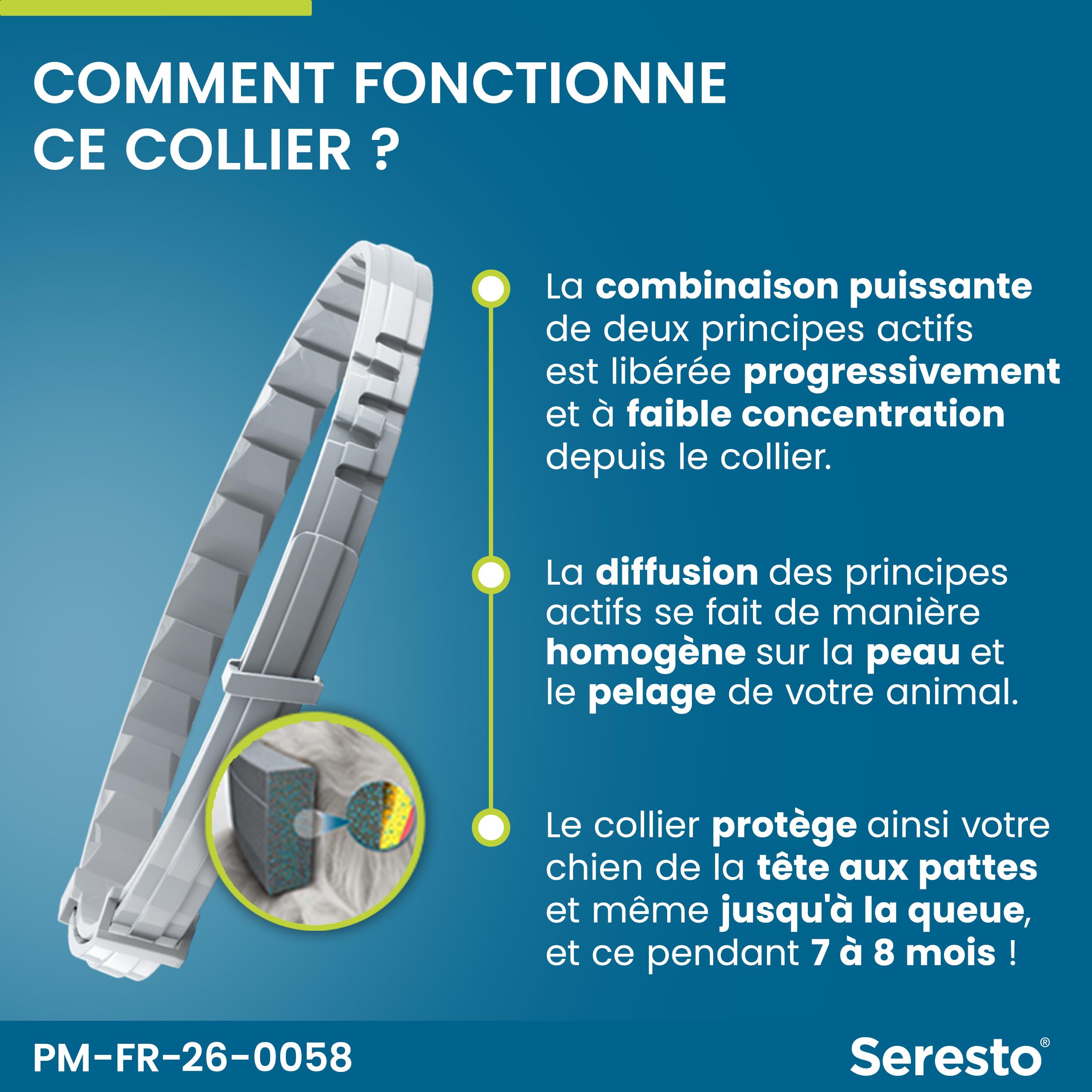 Seresto Collier Petits Chiens – 2 Colliers anti puces et anti tiques longue durée pour petits chiens de moins de 8kg – Protection leishmaniose, tiques, puces continue pendant 7 à 8 mois – Gris