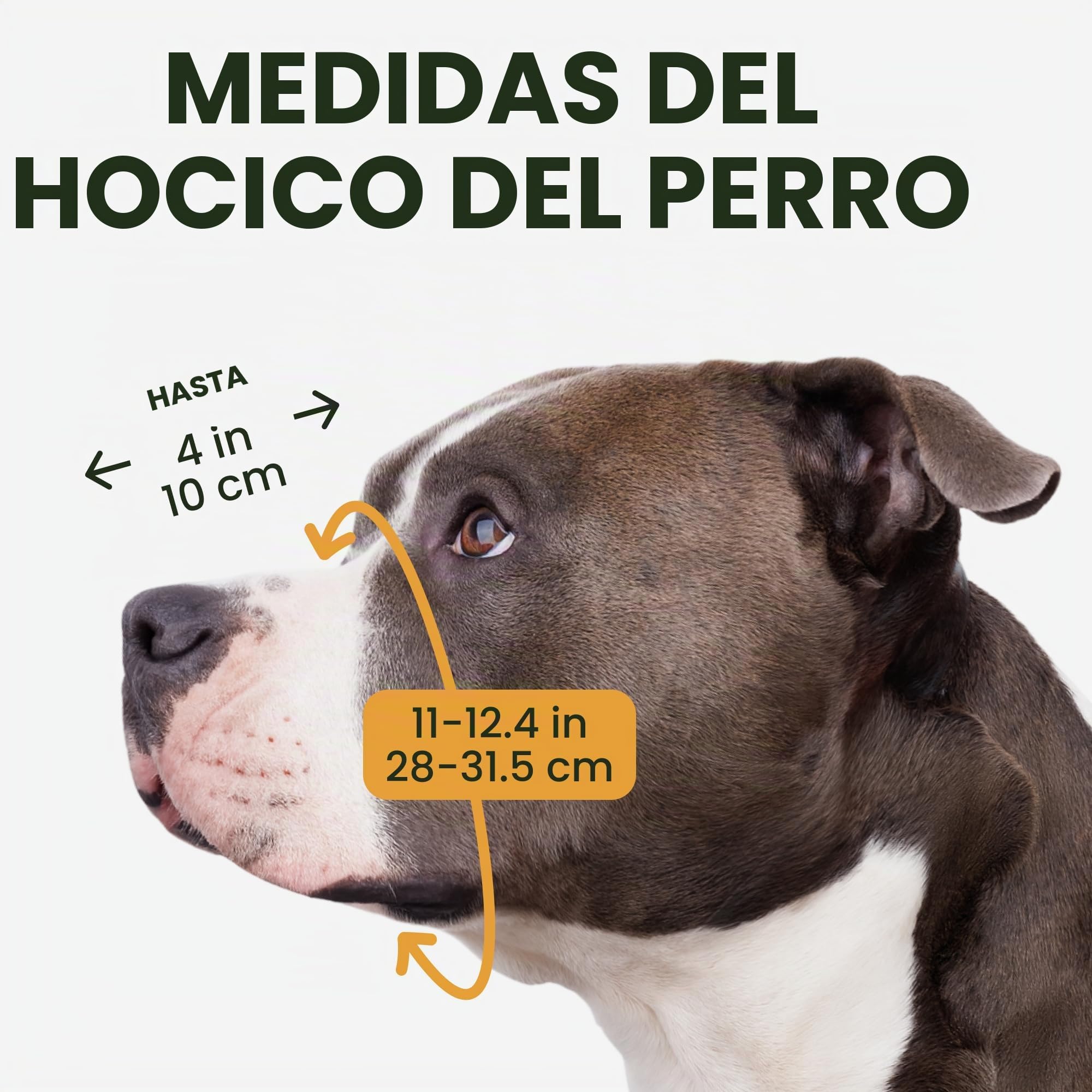 BronzeDog Bozal de Perro Pitbull máscara de Metal Amstaff Cesta de Alambre Pit Bull Correas de Cuero Ajustables para Perros Grandes